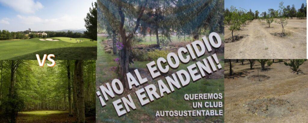 campo vs bosque 1200x480