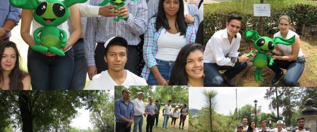 siempre verde ceconexpo plantacion simbolica 1150x480