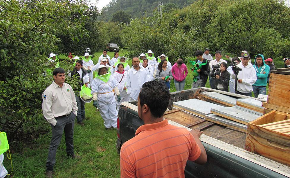 chicholito services 1 1