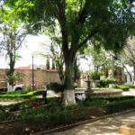 soterraña 8
